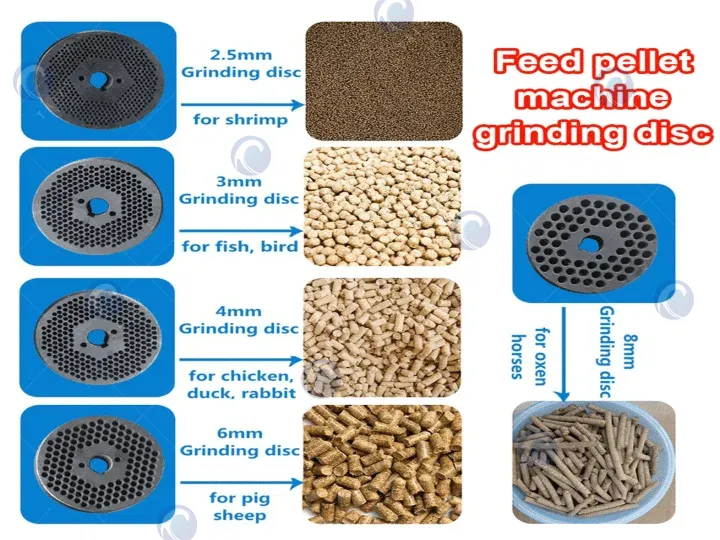 Animal Feed Pellet Making Machine For Pourlty 8 The different sizes of grinding discs for feed pelletizer