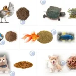 application of cat food pellet machine