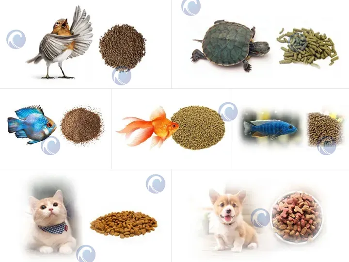 Pet Cat Food Making Machine 3 Application of cat food pellet machine
